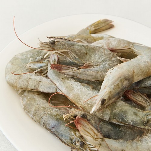 흰다리 새우 (500G)