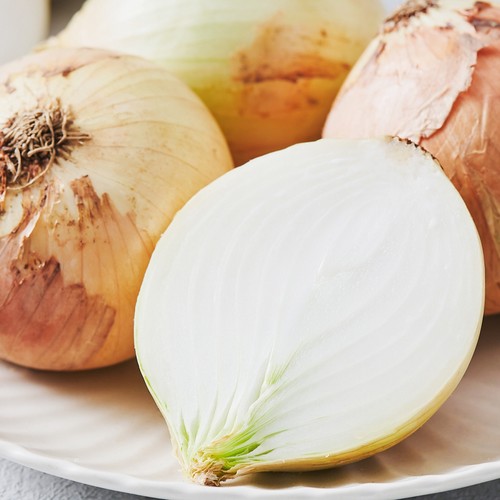 [농할할인가 3,496원] 양파 (1.5KG/망)