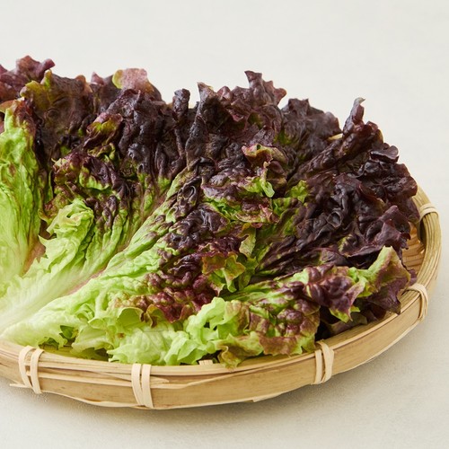 내일농장 적상추 (200G/봉)