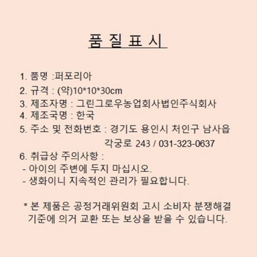 퇴충식물 퍼포리아