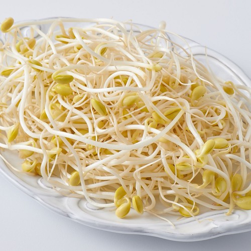 어깨동무 알찬콩 콩나물 (300G)