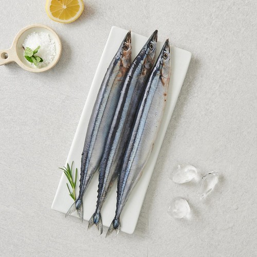 꽁치 (마리)