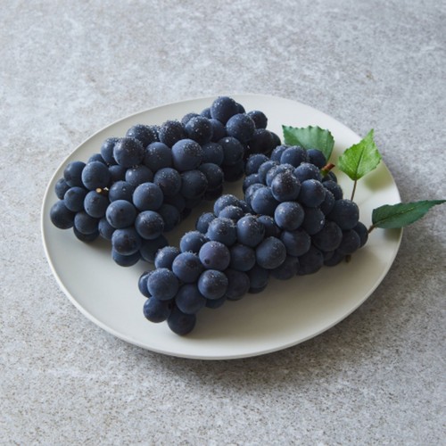 지리산 운봉포도 (1.5KG/박스)