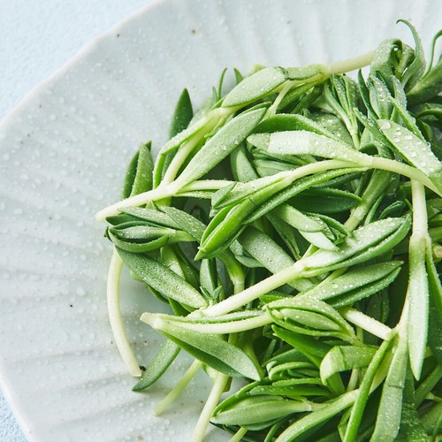 돌나물 (150G/팩)