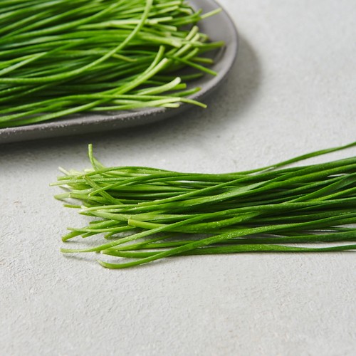 영양 부추 (100G/봉)