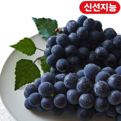 지리산 운봉포도 (1.5KG/박스)