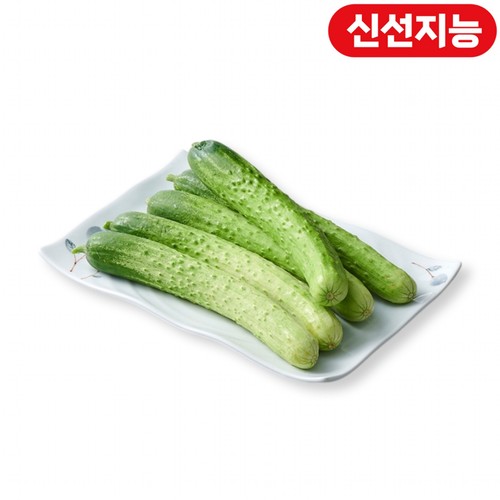 스마트팜 다다기오이 (개)