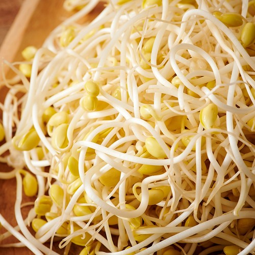 어깨동무 국산 시루콩나물 (300G)
