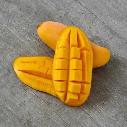 마하차녹 망고 (2입/팩)