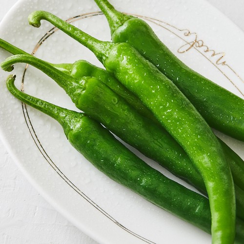 친환경 풋고추 (120G/팩)