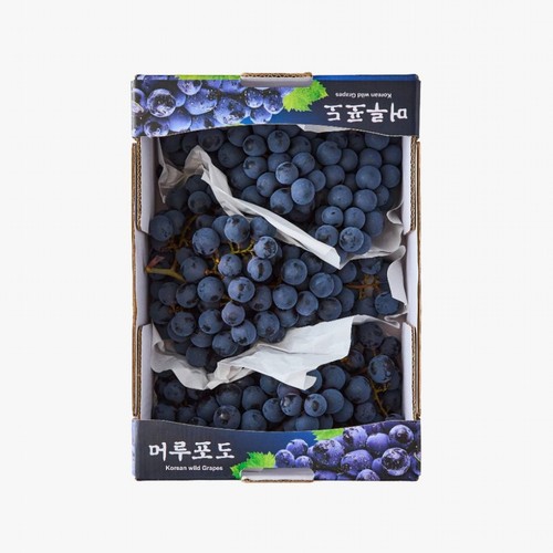 [농할할인가 12,720원] 머루포도 (2.3KG/박스)