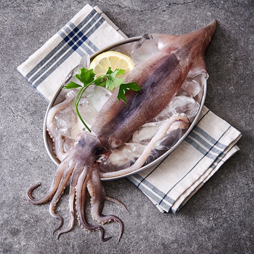 국산 오징어 (해동) (마리)