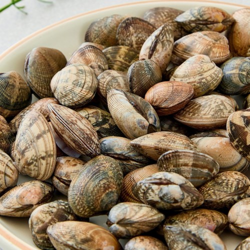 바지락 (500G)