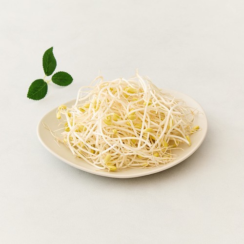오늘좋은 콩나물 (300G)