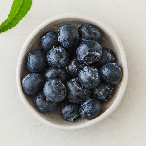 친환경 블루베리 (100G/팩)