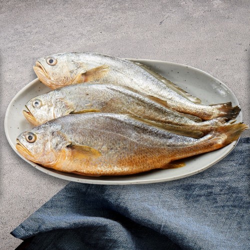 부세조기 (특대) (마리)