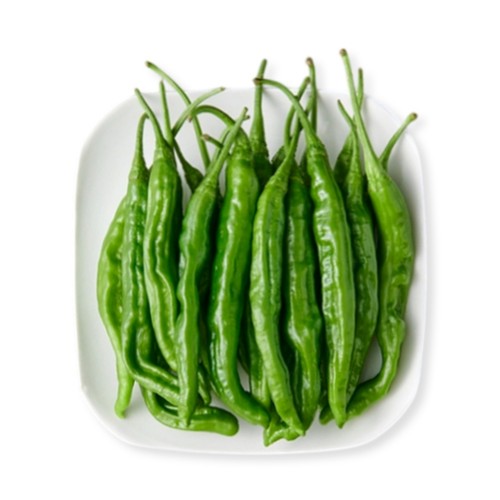 꽈리고추 (150G/봉)