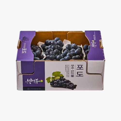 [농할할인가 9,520원] 무주 반딧불 포도 (1.5KG/박스)