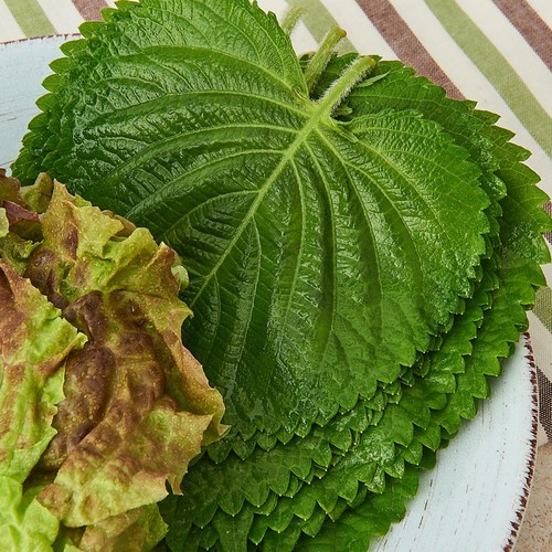 친환경 상추&깻잎 (80G/팩)