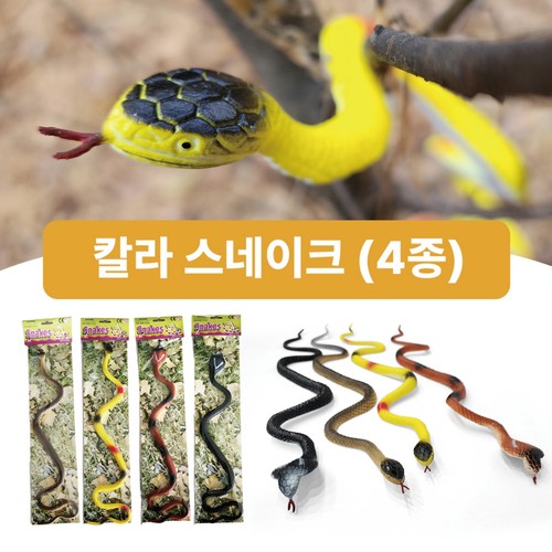 키드존 칼라 스네이크 (3세이상)
