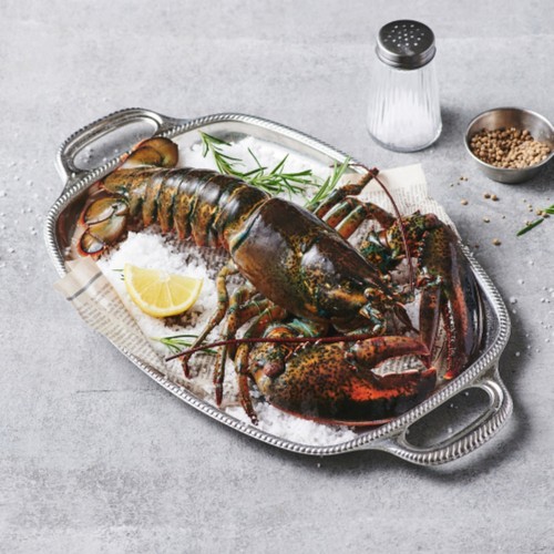 [행사카드 최종결제가 35,900원] 돌아온 활(活) 항공직송 랍스터(특) (마리)