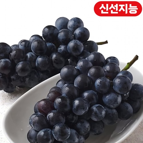 [농할할인가 14,960원] 거봉 (1.4KG/박스)