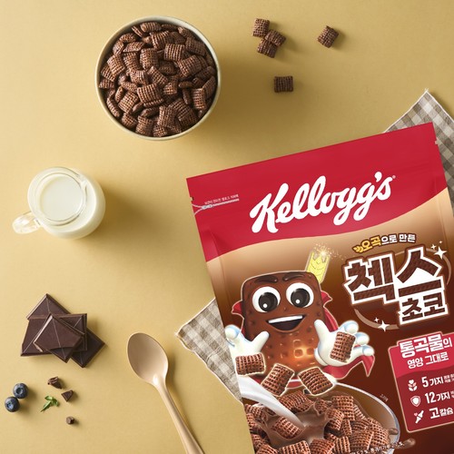 켈로그 첵스초코 (570G)