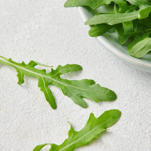 와일드루꼴라 (50G/팩)