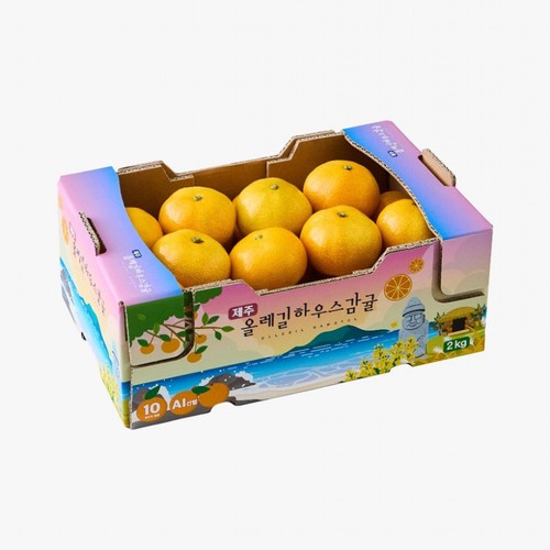 제주 올레길 하우스 감귤 (2KG/박스)