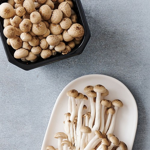 GAP 친환경 백만송이 버섯 갈색 (150G/팩)