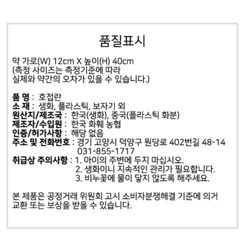 명절선물 호접란