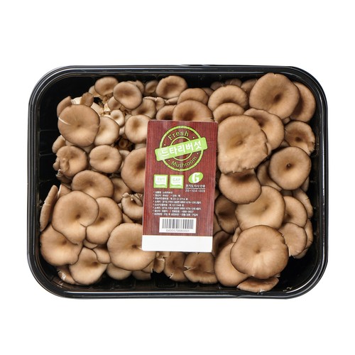 【끝장채소】 GAP 친환경 느타리 버섯 (500G/팩)
