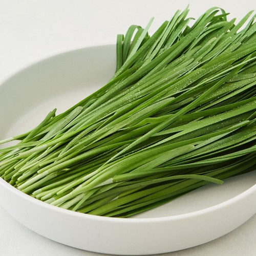 로컬 부추 (250G/봉)