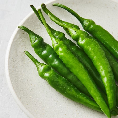 친환경 청양고추 (120G/팩)