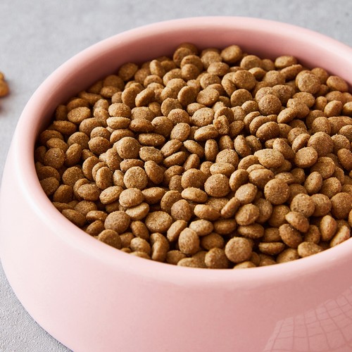 콜리올리 웰밸런스 사료 (퍼피) (3KG)