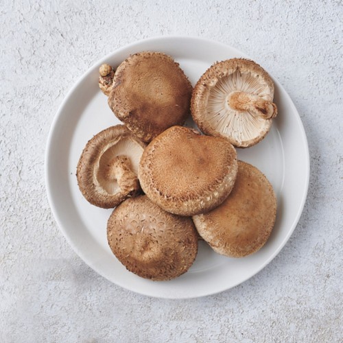 GAP 친환경 표고버섯 (120G/팩)
