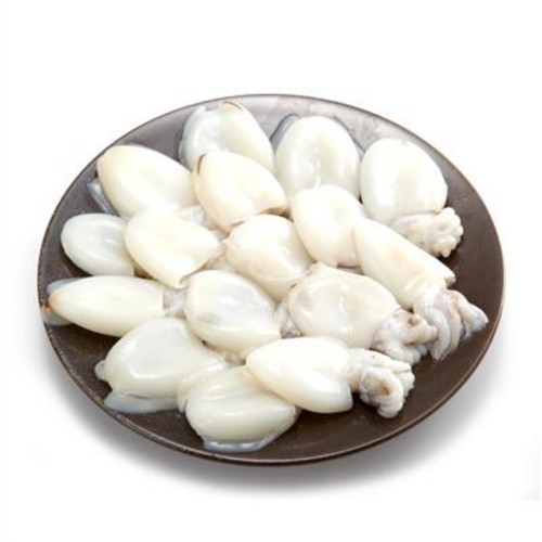 생물 갑오징어 (300G)