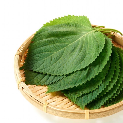 유기농 금산 깻잎 (30G/봉)
