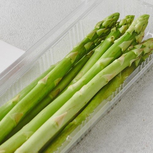 아스파라거스 (150G/봉)