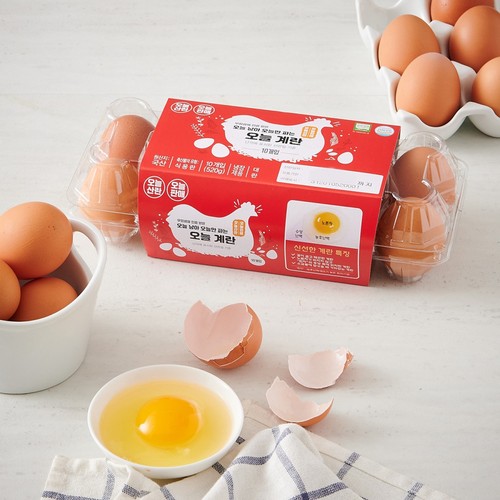 오늘 낳아 오늘만 파는 오늘계란(대란, 10입) (520G)