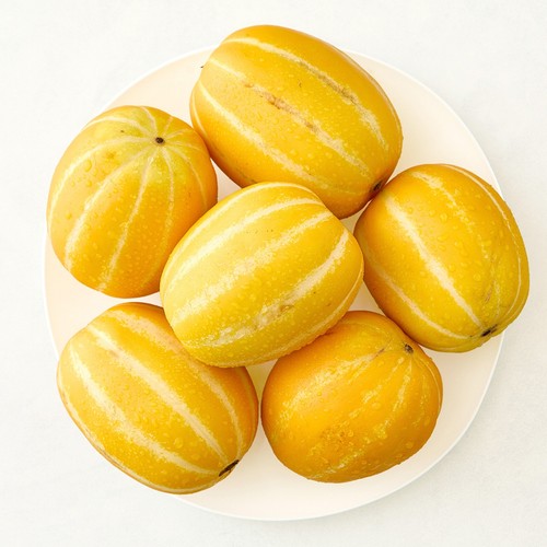 성주 상생참외 (1.2KG/봉)