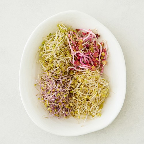 새싹모둠 (180G/팩)