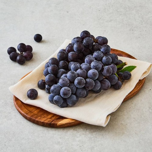 [농할할인가 10,720원] 송산포도 (1.5Kg/박스)