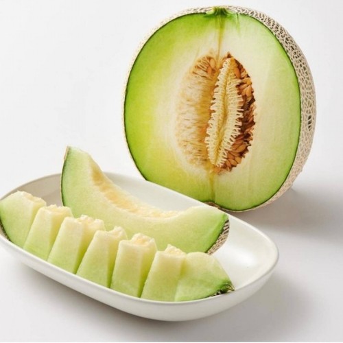 고당도 머스크 메론 (1통)
