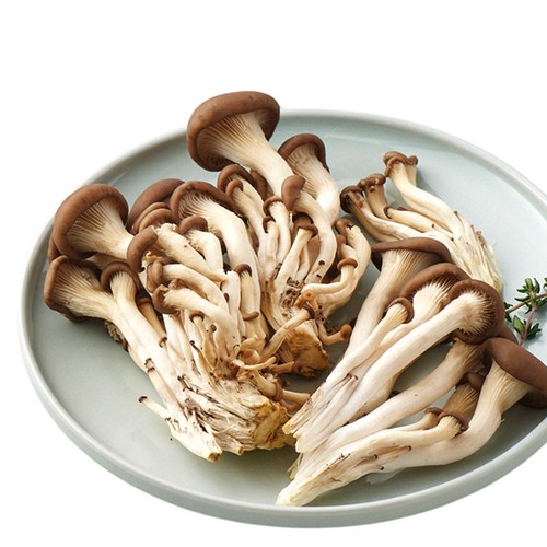 【끝장채소】 GAP 친환경 느타리 버섯 (500G/팩)