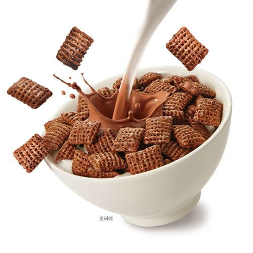 켈로그 첵스초코 파우치 (1.1KG)