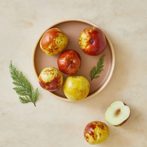 사과대추 (500G/팩)