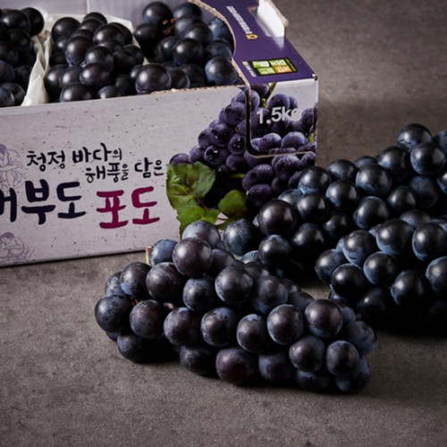 [농할할인가 15,920원] 대부도 포도 (1.5KG/박스)