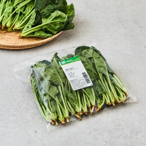 로컬 시금치 (200G/봉)