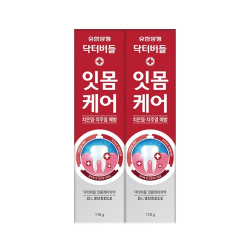 닥터버들 잇몸케어 치약 (110G*2입)